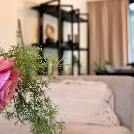 Spacious And Beautifully Renovated Town House